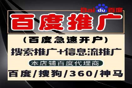 谷歌竞价案例：快速提升品牌影响力的广告策略